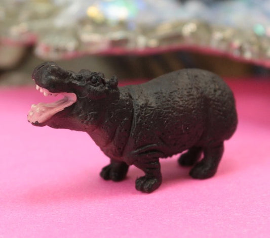 Happy Hippo Safari - Set of 4 - 234-3022