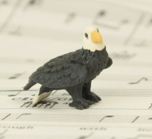 Eagles - 1" - Set of 4 - 234-6122