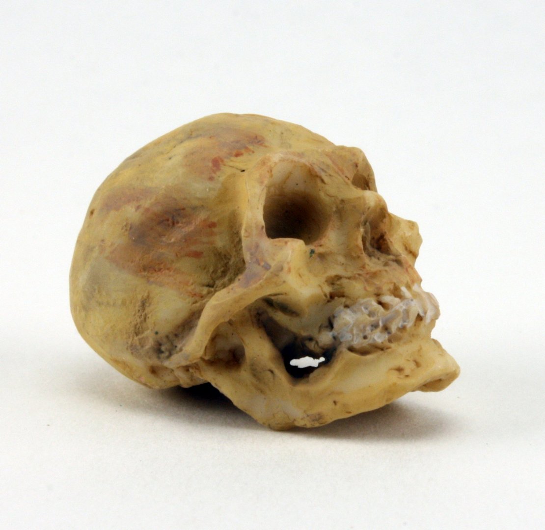 Pumpkins- 1" Dia. - With Stem - Set of 4 - XC-0100