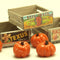 Cargo-To-Go: Vintage Fruit Crates and Pumpkin Set - 101-0914