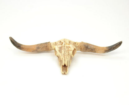 Old West Dry Cattle Skull - #118-1008