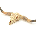 Old West Dry Cattle Skull - #118-1008