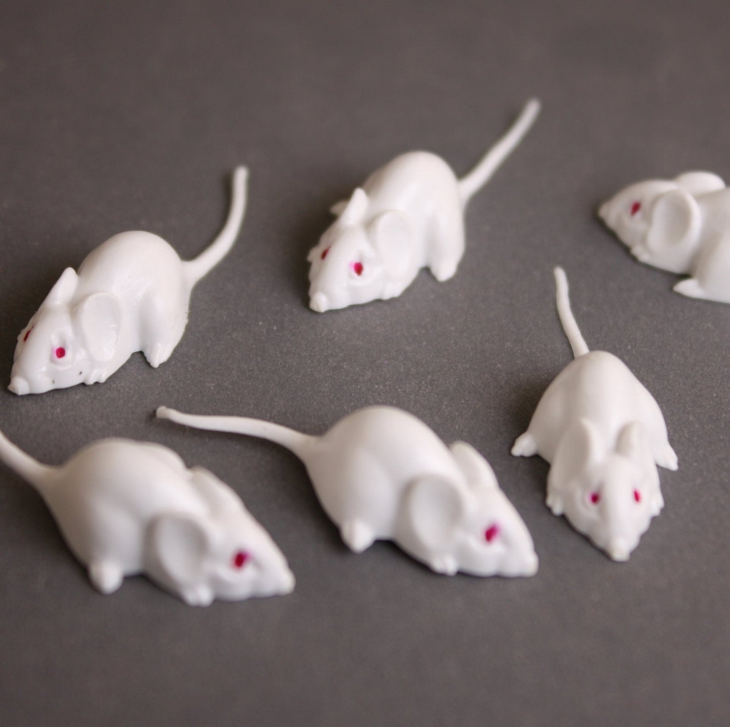 Mice - White Mouse Set - Red Eyes - 1" - 6 Pieces - 203-3-18-WH