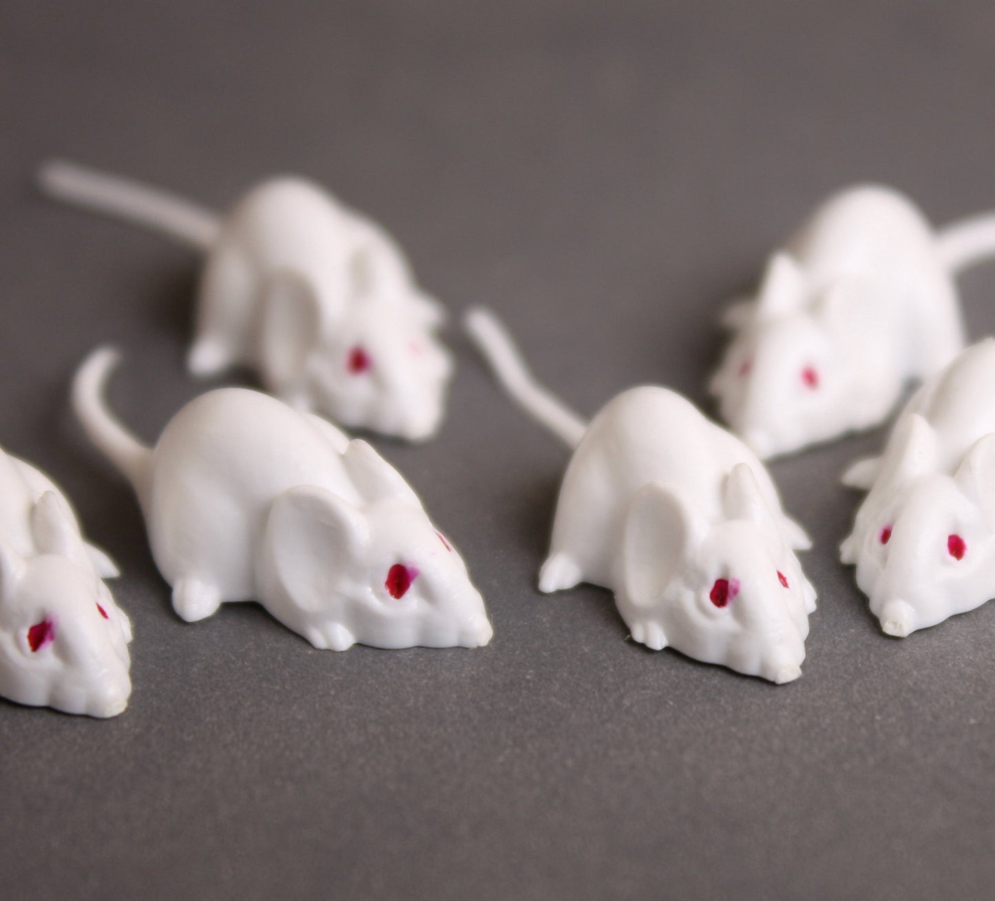Mice - White Mouse Set - Red Eyes - 1" - 6 Pieces - 203-3-18-WH