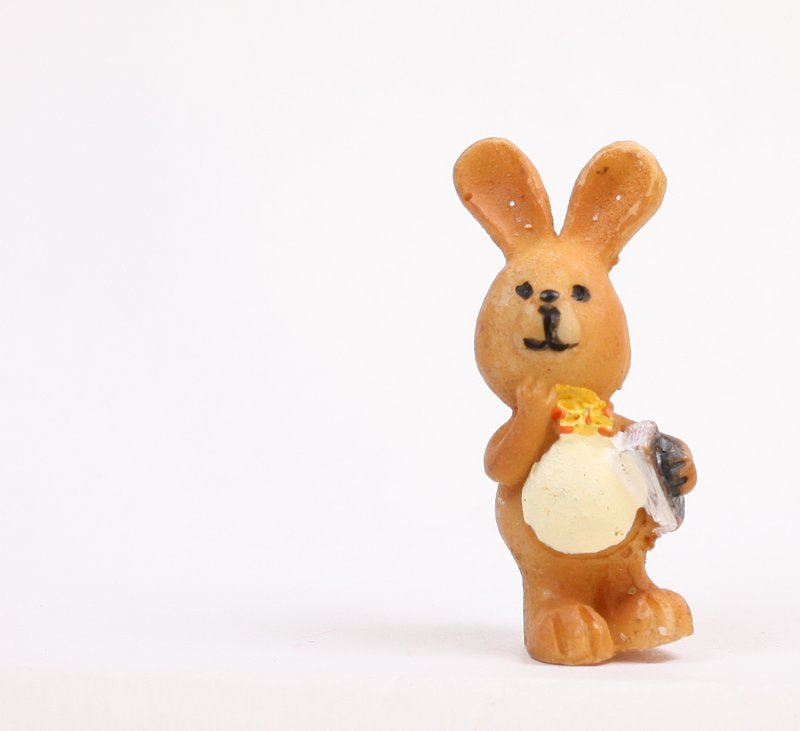 Bunny School Boys - Set of 4 - Easter - 205-5637