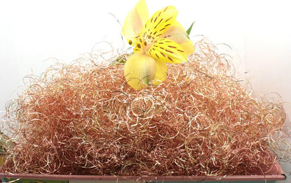 Nutmeg - Curly German Lametta - 216-5157