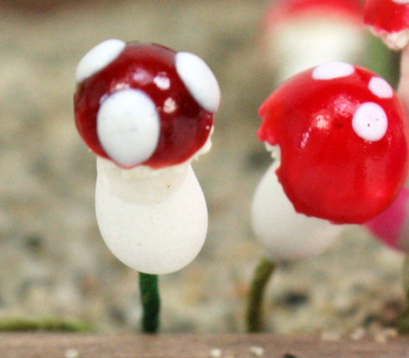 Brown - Sealed Plaster Mushrooms 16 pcs - 218-0120