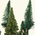 Forest Tree Set - 20 Assorted Pieces - 2" to 6" Tall  - 218-0514