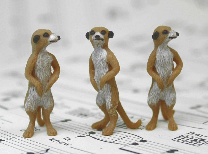 Meerkat Babies - Hand Painted -  Set of 4 - 234-3822