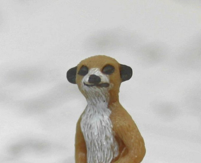 Meerkat Babies - Hand Painted -  Set of 4 - 234-3822