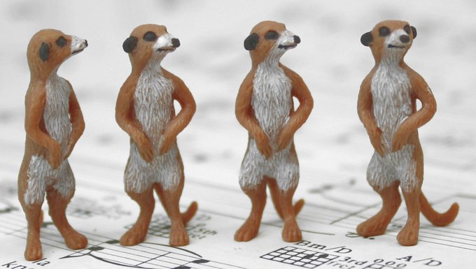 Meerkat Babies - Hand Painted -  Set of 4 - 234-3822