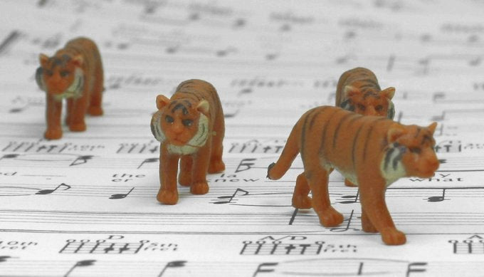 Siberian Tigers - Hand Painted -  Set of 4 - 234-3922