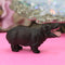 Happy Hippo Safari - Set of 4 - 234-3022