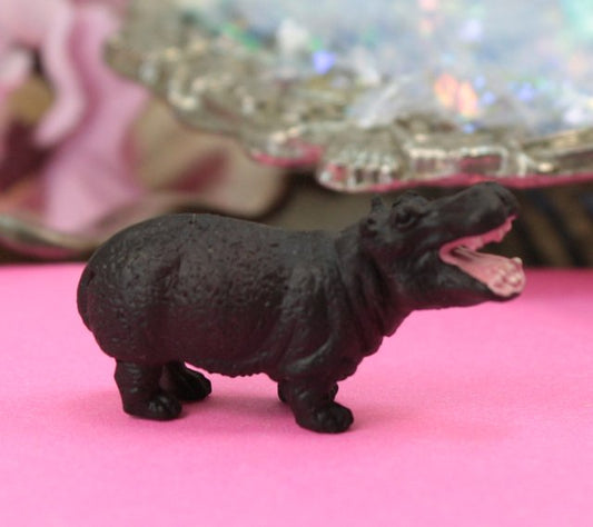 Happy Hippo Safari - Set of 4 - 234-3022