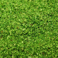 Green (Light Green) Wood Scenery Flakes - 2oz Zipbag - 311-0740