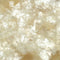 Buttercup Natural Mica Flakes  - 311-4329