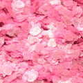 Pink - Neon Pink - Natural Mica - #311-4369