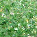 Green - Lime Green - Iridescent Ice Flakes - 311-4375