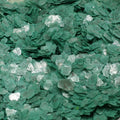 Green - Jade Green - Natural Mica - #311-4381