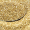 Gold Glass Glitter -  311-9-007
