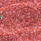 Autumn Red Glitter - 311-BD-08