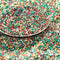 Holiday Blend Glitter  - 311-BD-05