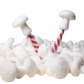 Mushrooms - Small - 1/2" Spun Cotton - Set of 10 - 703-2140