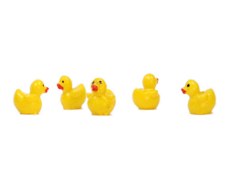 Duckies - Tiny Baby Ducks - 8 Pcs Set - 802-0835