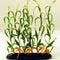 Cargo-To-Go: "G" Scale Corn Stalks - Farm Fresh! - 101-0849