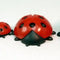Geman Ladybugs - Large - 203-3-062 - 6 Piece Set