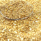 Gold Fusion Multigrain Glitter - 311-7090-GD