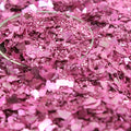 Rose - Pastel Rose -  Fusion Glitter -  311-4080-PR