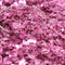 Rose - Pastel Rose -  Fusion Glitter -  311-4080-PR