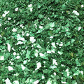 Green Forest - Fusion Multigrain Glitter - 311-4080-GN