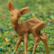 Deer - 1/2" Tall - 10 Pcs Set - 203-1005