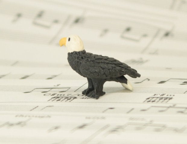 Eagles - 1" -  Set of 4 - 234-6122