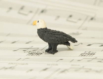 Eagles - 1" -  Set of 4 - 234-6122