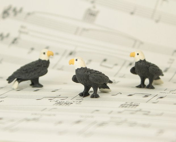 Eagles - 1" -  Set of 4 - 234-6122