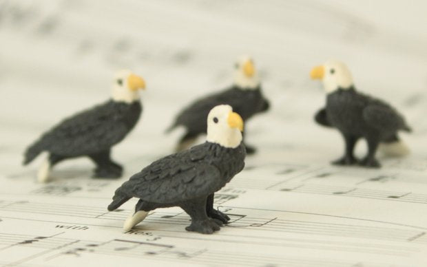 Eagles - 1" -  Set of 4 - 234-6122