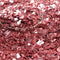 Sea Shell Super Shard Glitter