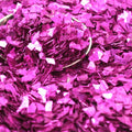 Fuchsia -  Super Shard Glitter