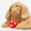 Dog - Ready to play! -- Set of 4 pcs - IV3-3609